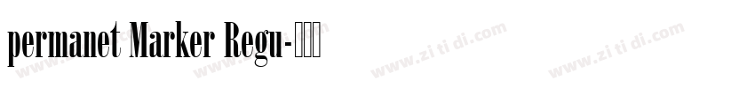 permanet Marker Regu字体转换